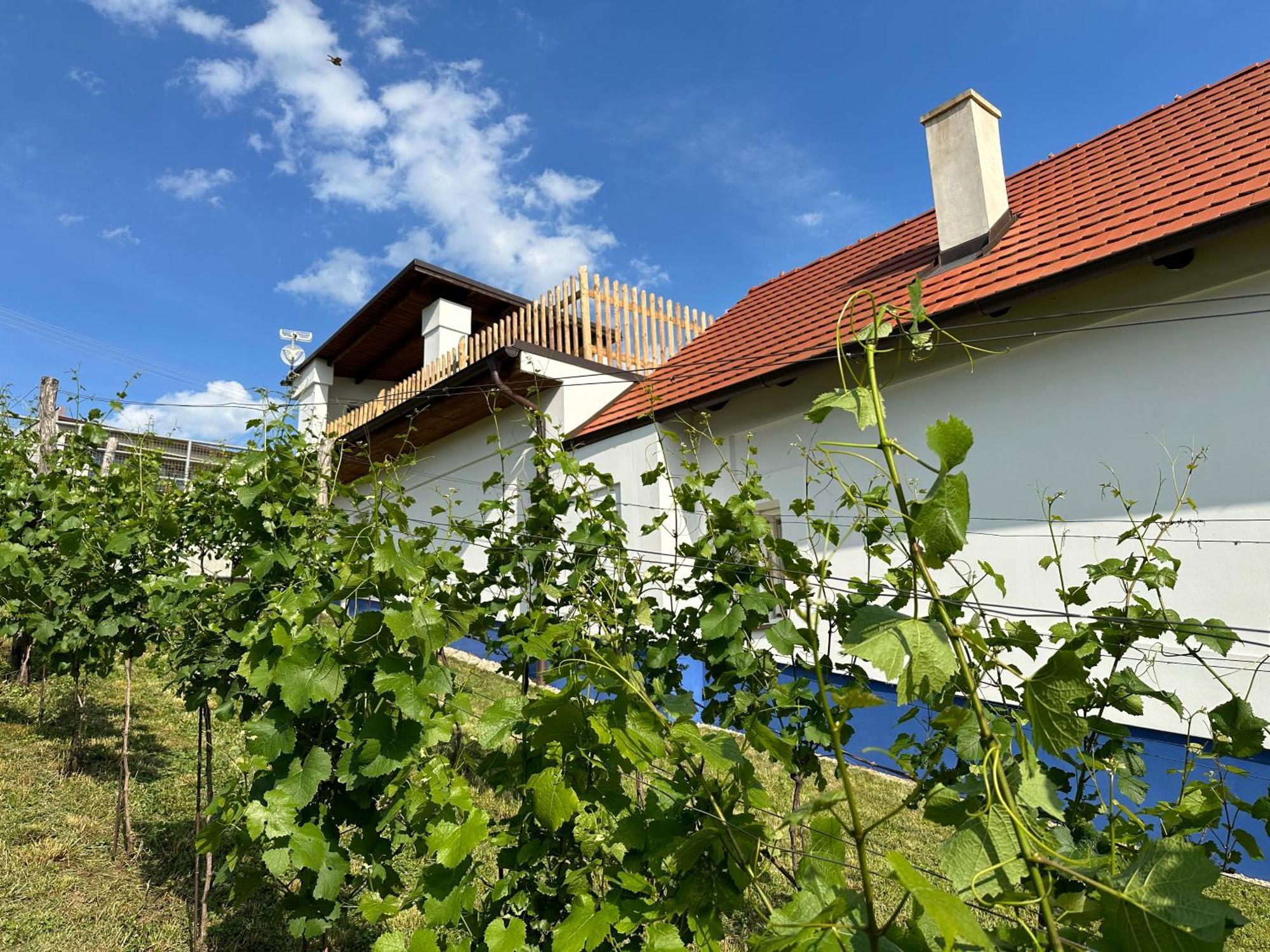 Villa Nad Slováckým sklípkem Tupesy Exterior foto